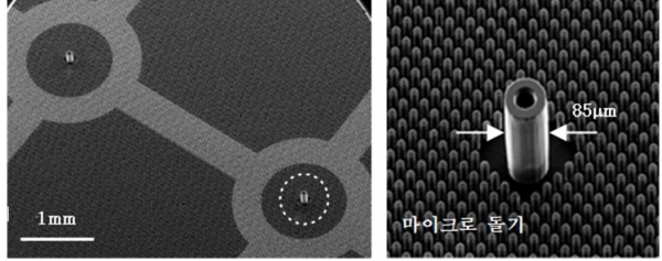 폴리머 초미세 노즐 어레이(왼쪽)와 이를 확대한 외경 85μm, 내경 40μm, 높이 150μm의 폴리머 초미세 노즐 및 주변의 마이크로 돌기 모습.