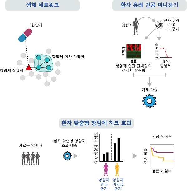 개발된 환자 맞춤형 약물 반응성 예측 기술의 도식(포항공대 생명과학과 생물정보학 연구팀 제공)