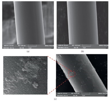 나노-실리카로 코팅된 탄소섬유 전자현미경 확대사진(건양대 제공)