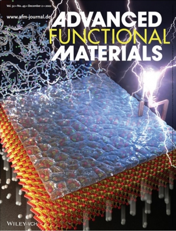 Advanced Functional Materials 저널 앞표지 (Front Cover)