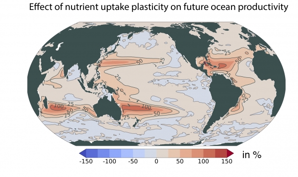 식물 플랑크톤의 영양 흡수 조절 능력이 미래 해양 순생산량에 미치는 영향.미래(2080~2100년 평균) 식물 플랑크톤의 영양 흡수 조절 능력을 고려하지 않은 기존 전망과 고려한 전망의 차이를 보여준다. 색이 붉을수록 고려했을 때의 생산성이 고려하지 않았을 때에 비해 높다는 것을 나타낸다.