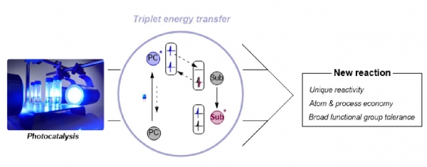 삼중항 에너지 전달 메커니즘